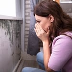 Mold Assessments