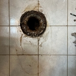 Toilet Flange Repair