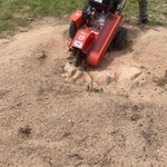 Stump Grinding