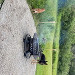 Custom fire pit