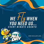 We Fly When You Need Us