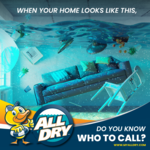 Who To Call