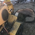 Large walnut