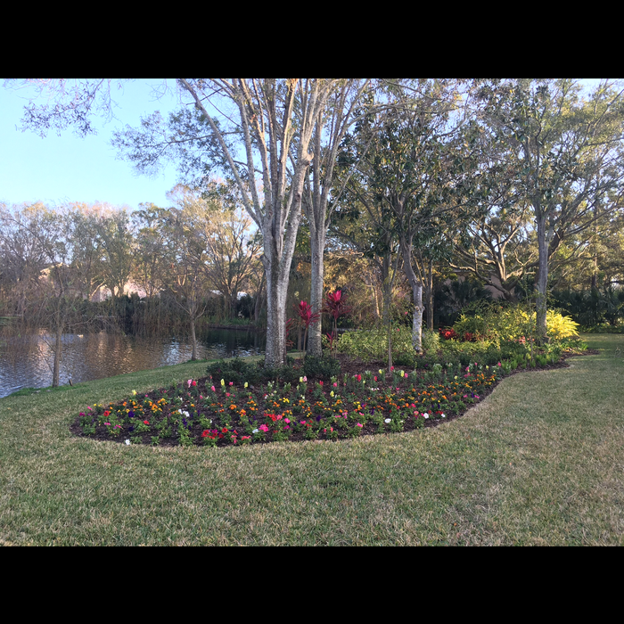 Large flower area
