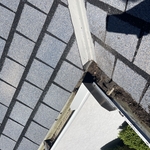 before gutter cleaning