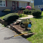 Front Beds