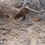 excavation