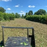 Clearing an overgrown field
