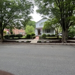 Tree & Landscaping Services