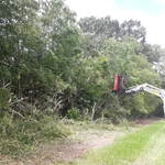 Brush cutting