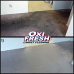 Carpet Cleaning