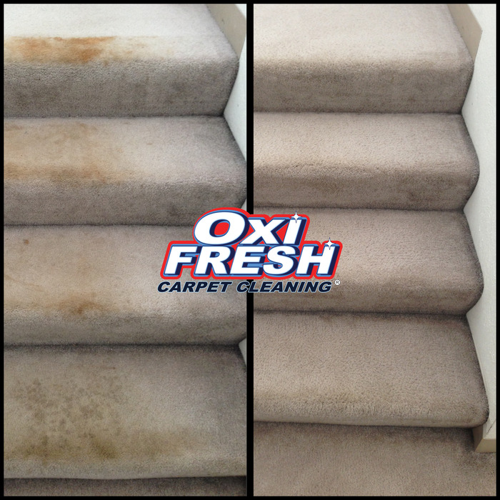 Carpet Cleaning