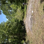 Cleaned up lot