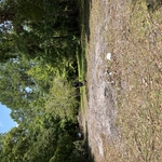 Land clear