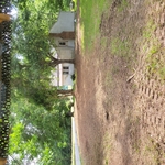 Forestry mulching