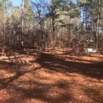 Forestry mulching