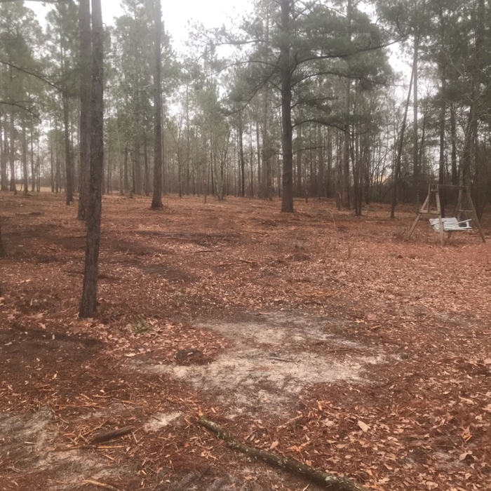 Forestry mulching