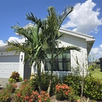 Plantation