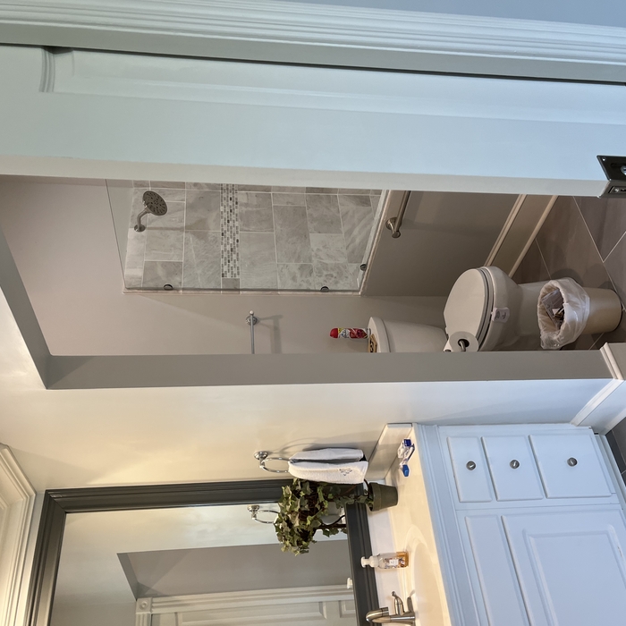 Bathroom Facelift