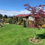 Layered Garden