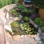 Transitional Landscape - Calm Lush Small Water Fall Feature