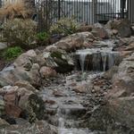 Big Pondless