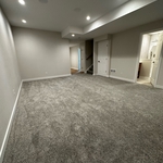 Basement Living Room