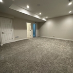 Basement Living Room