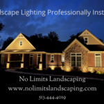 Exterior Landscape Lighting