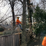 Our work