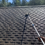 Brushing clips of moss off of roof