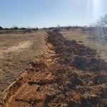 lot clearing