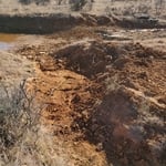 lot clearing