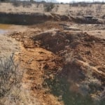 lot clearing