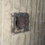 Dryer vent cleaning