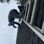 Rooftop flu vent for carbon removal
