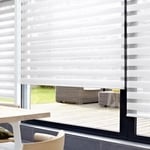 Zebra Blinds