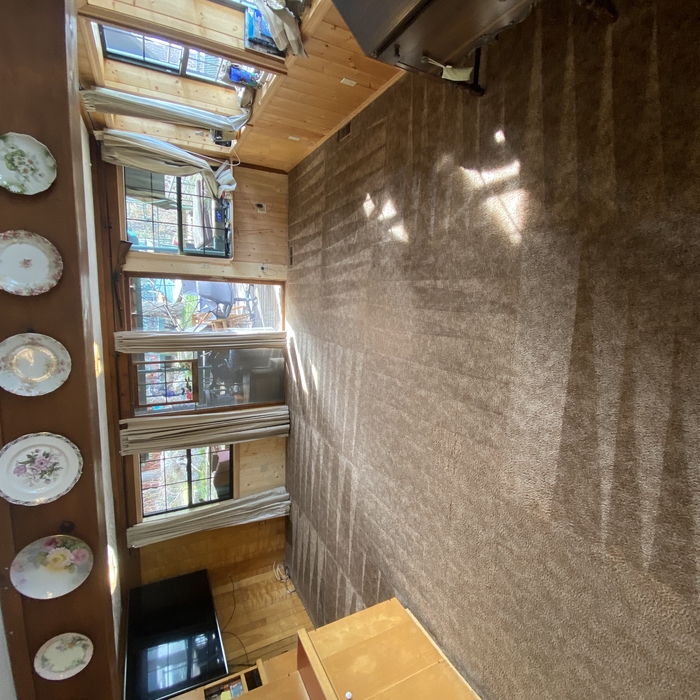 Carpet
