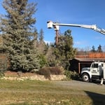 Mid project