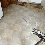 Our work