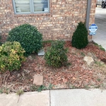 Flower Bed