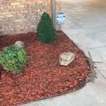 Flower Bed