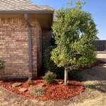 Flower Bed