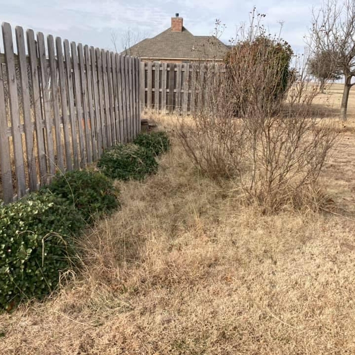 Flower Bed