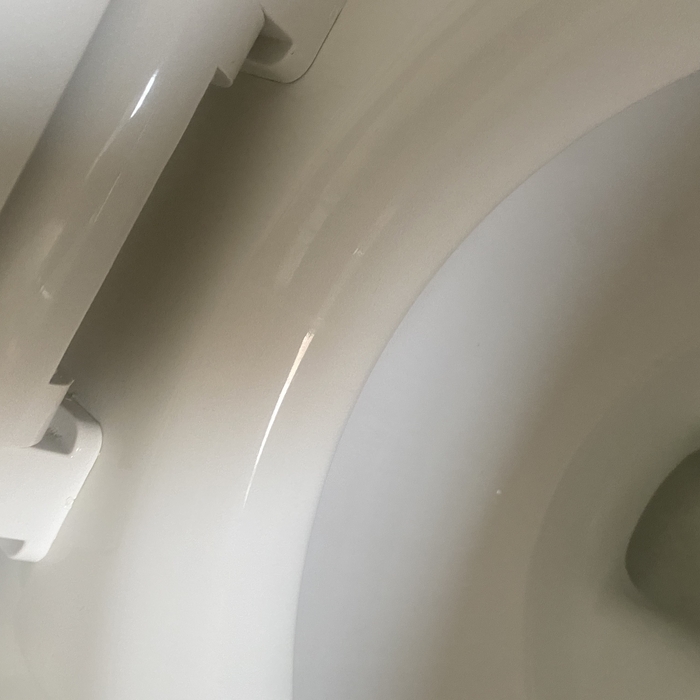 Master toilet completed