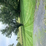 Mowing