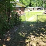 Back Yard Clean Up