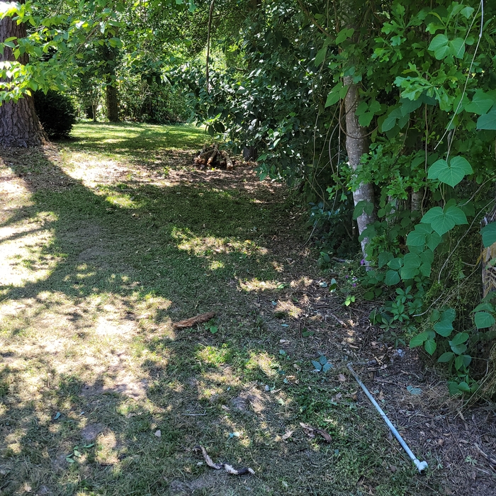 Back Yard Clean Up