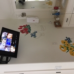 Bathroom TV