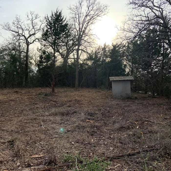 Mulched/ Underbrush